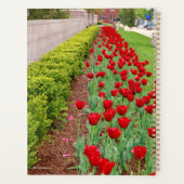 Haupt Bulbs Planner (Achterkant)