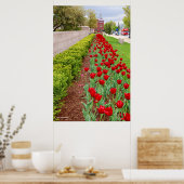 Haupt Bulbs Poster (Keuken)