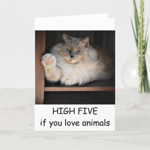 HAUT CINQ si vous aimez les animaux, carte