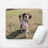 Haut tapis de souris cinq de beagle (Avec souris)