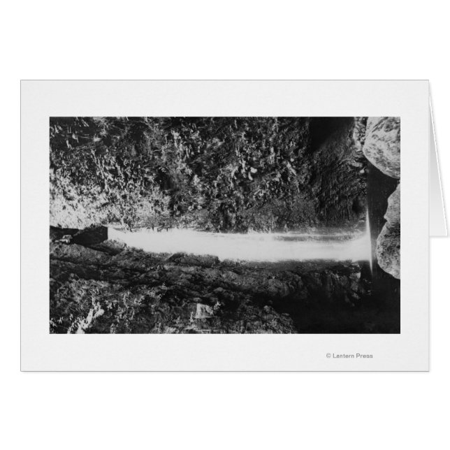 Hauula, HI - Gesuikerde Herfsten, nabij Cooper Ran (Voorkant Horizontaal)