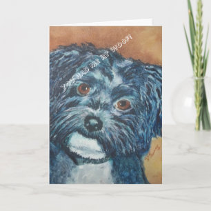 HAVANAIS NOIR SUCRÉ   Carte de vœux