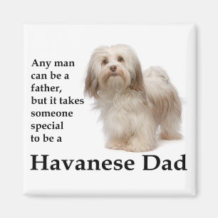 Havanais papa Magnet