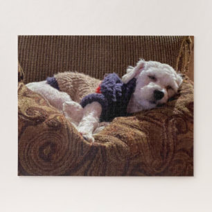 Havanais Puppy Napping - Puzzle