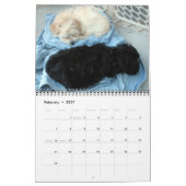 Havanais Secourir Puppies Calendrier 2012 (Feb 2027)