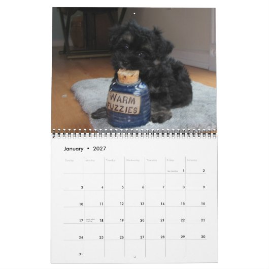Havanais Secourir Puppies Calendrier 2012 (Jan 2027)