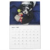 Havanais Secourir Puppies Calendrier 2012 (Mar 2027)