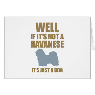 Havanees