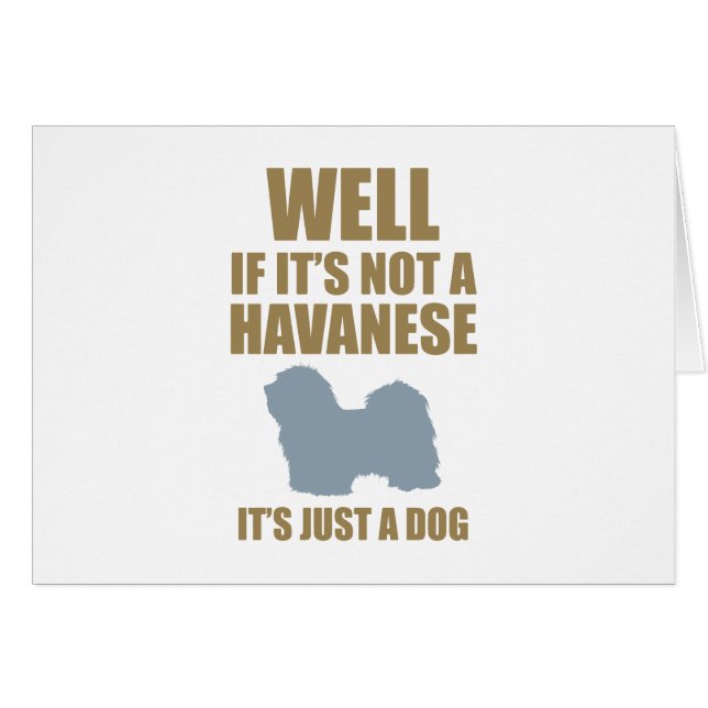 Havanees (Voorkant Horizontaal)