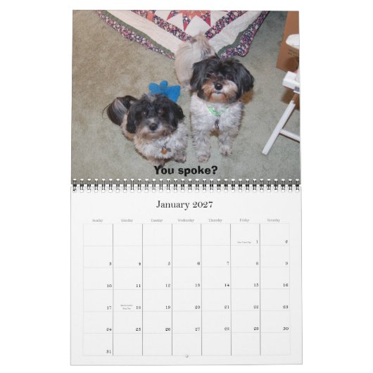 Havanees 2009 kalender (Jan 2027)