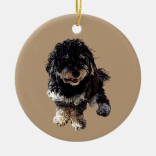 Havanees Keramisch Ornament