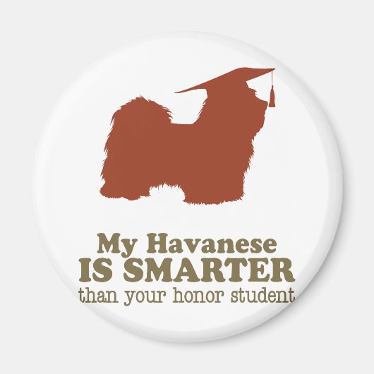 Havanees Magneet (Voorkant)