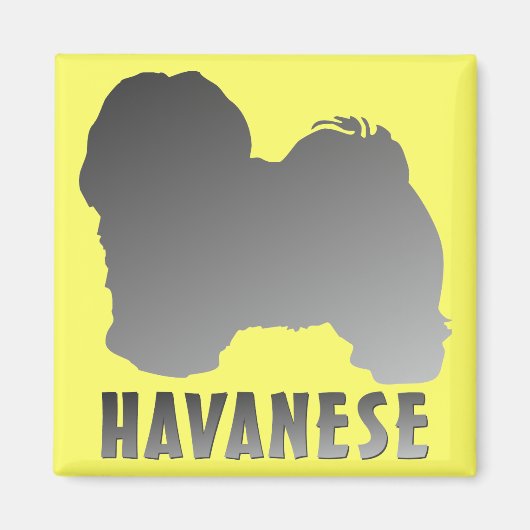 Havanees Magneet (Voorkant)