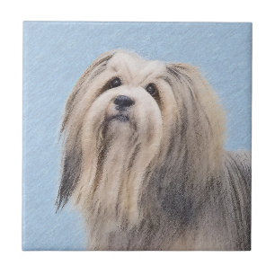 Havanees (zilver) schilderen - Kute Original Dog A Tegeltje
