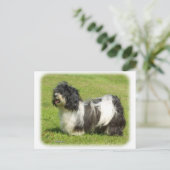 Havanese 8W098D-14 Briefkaart (Staand voorkant)