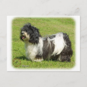 Havanese 8W098D-14 Briefkaart