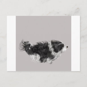 Havanese B&W Briefkaart