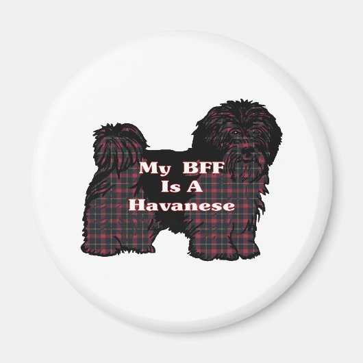 HAVANESE BFF-cadeautjes Magneet (Voorkant)