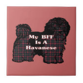 HAVANESE BFF TEGELTJE (Voorkant)