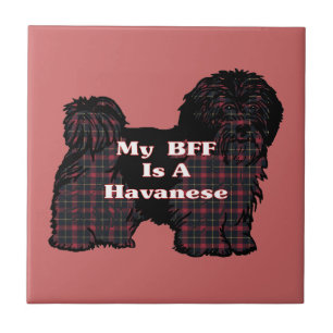 HAVANESE BFF TEGELTJE