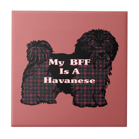 HAVANESE BFF TEGELTJE (Voorkant)
