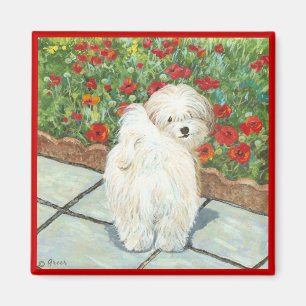 Havanese Dog and Poppies Art Print Magnet Magneet
