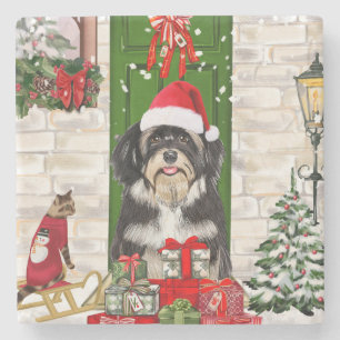 Havanese Dog Kerstmis Stenen Onderzetter