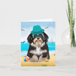 Havanese Dog op strand Kaart