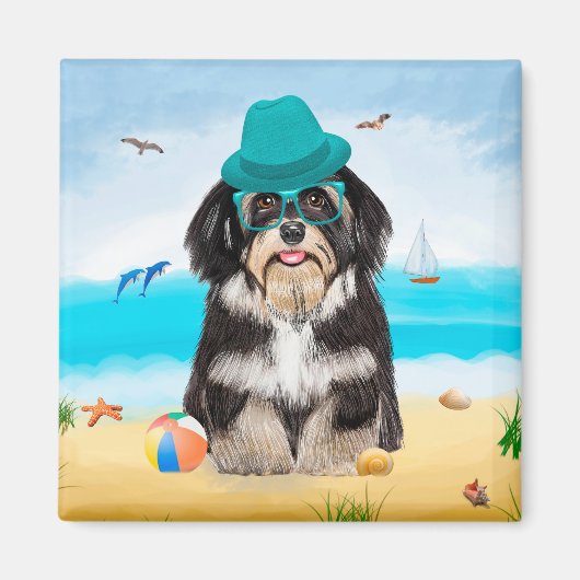 Havanese Dog op strand Magneet (Voorkant)