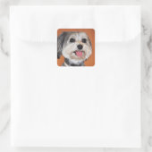 Havanese Dog Portrait Vierkante Sticker (Tas)
