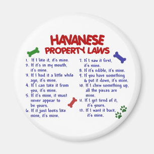 HAVANESE Eigendomwetten 2 Magneet