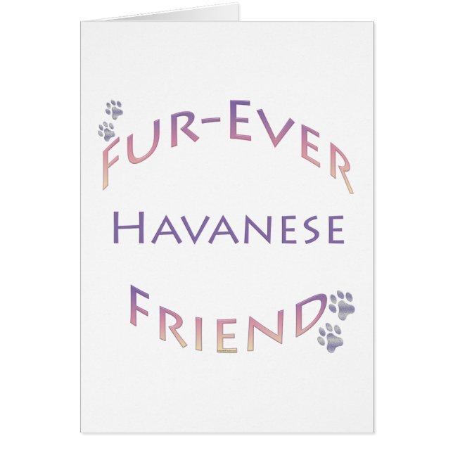 Havanese Furever (Voorkant)