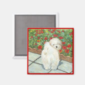 Havanese Hond en Poppies Art Print Magneet (Voorkant / Achterkant)