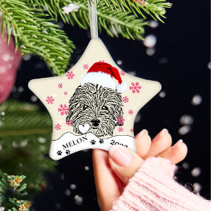 Havanese Hond Gepersonaliseerde Hand Drawing Keramisch Ornament