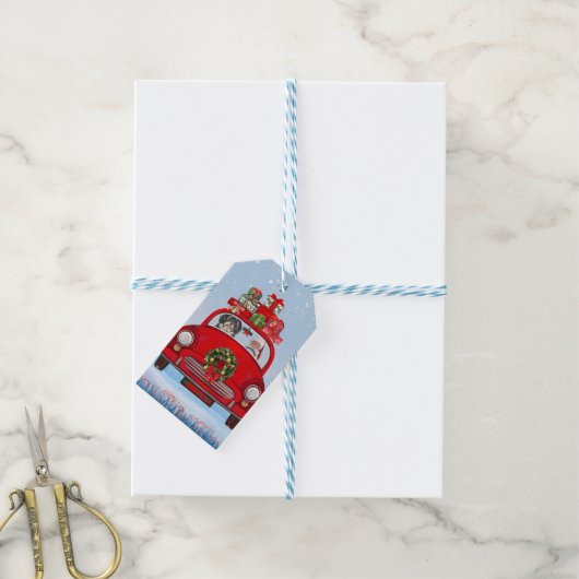 Havanese hond in auto met kerstman cadeaulabel (Met Touw)