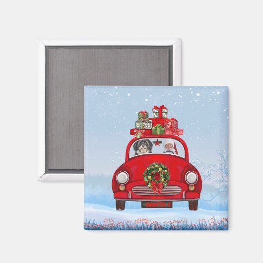 Havanese hond in auto met kerstman magneet (Voorkant / Achterkant)