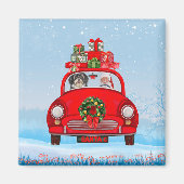 Havanese hond in auto met kerstman magneet (Voorkant)