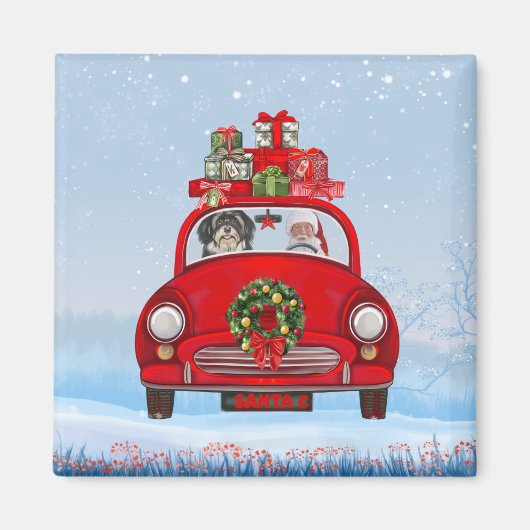 Havanese hond in auto met kerstman magneet (Voorkant)