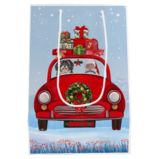Havanese hond in auto met kerstman medium cadeauzakje (Achterkant)