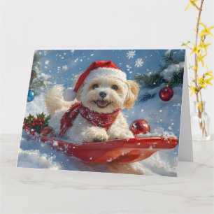 Havanese hond in slee Laat het sneeuwen Kerstmis Kaart