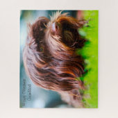 Havanese Hond. Legpuzzel (Verticaal)