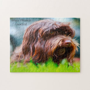 Havanese Hond. Legpuzzel