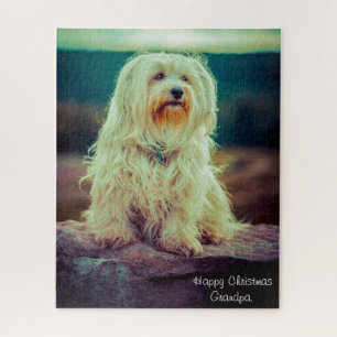 Havanese hond. legpuzzel