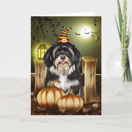 Havanese Hond Met Heks Pet Halloween Cadeau Idee Kaart (Voorkant)
