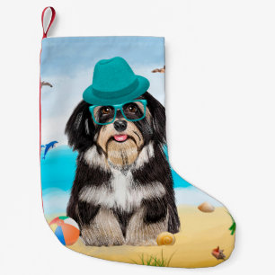Havanese hond op het strand kleine kerstsok