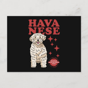 Havanese hond van de koelste   Havaneses Briefkaart