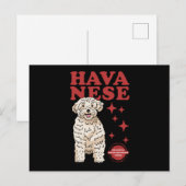 Havanese hond van de koelste | Havaneses Briefkaart (Voorkant / Achterkant)