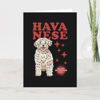 Havanese hond van de koelste | Havaneses Kaart