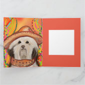 HAVANESE       KAART (Binnen)