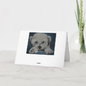 Havanese Kaart (Achterkant)